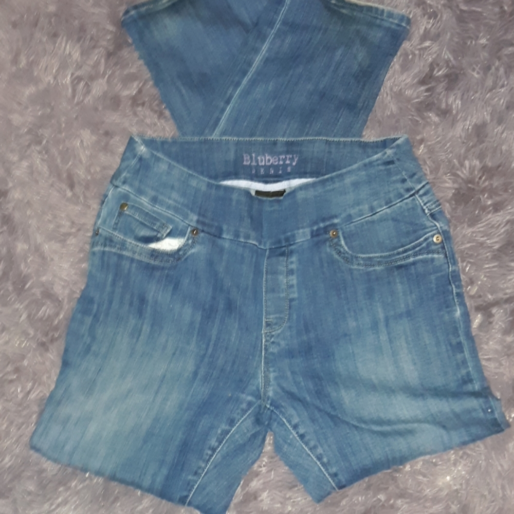 Bluberry no zip Jean's sz 12
